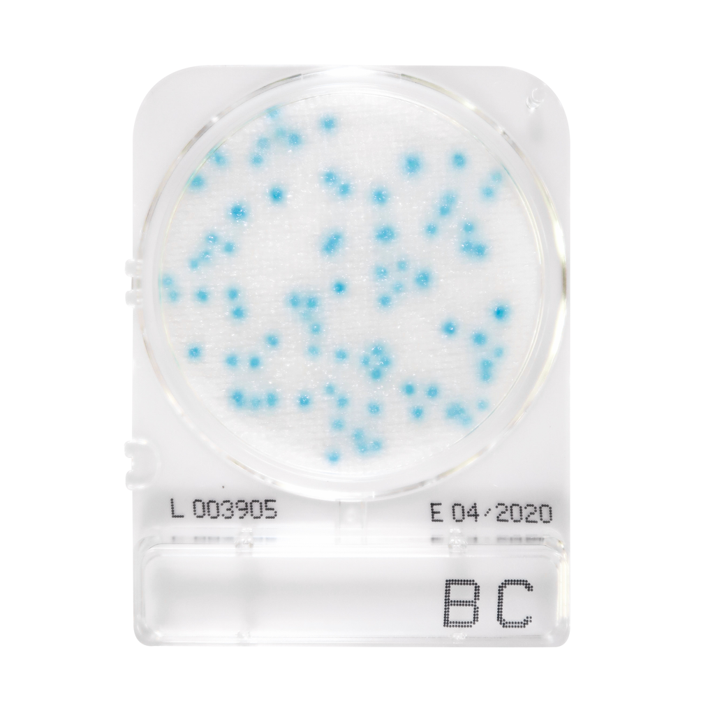 Compact Dry Plates - Bacillus Cereus