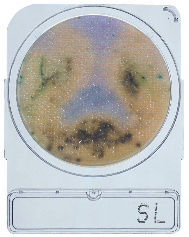 Compact Dry Plates - Salmonella
