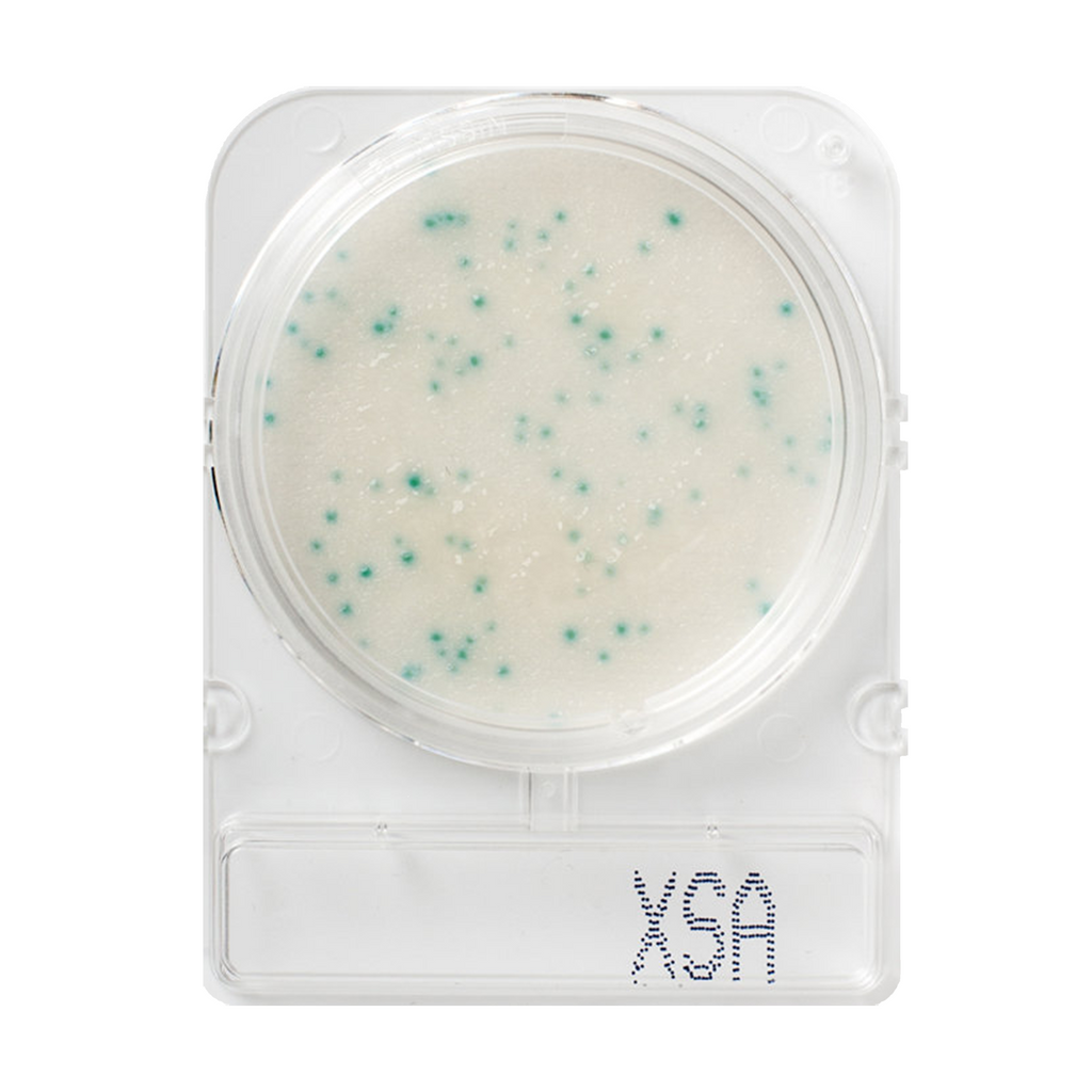 Compact Dry Plates - Staphylococcus Aureus