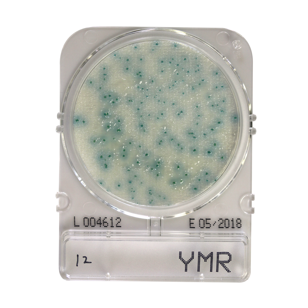 Compact Dry - Yeast and Mould Rapid (YMR)
